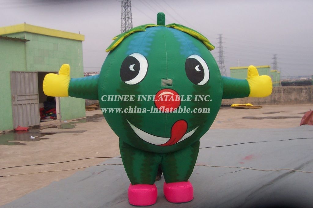 M1-220 Fruit Inflatable Moving Cartoon