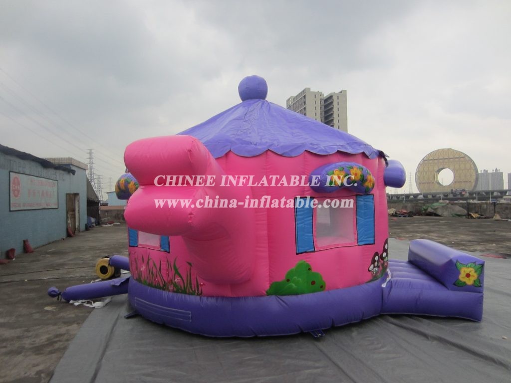 T1-136 inflatable bouncer