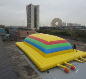 T11-209 Inflatable Sports