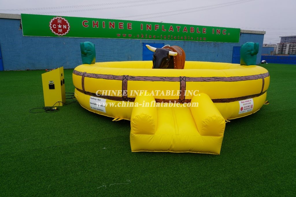 T11-553  Inflatable Sports