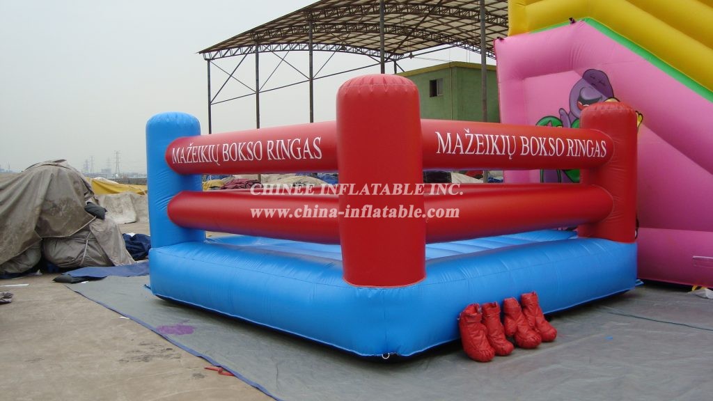 T11-684 Inflatable Sports