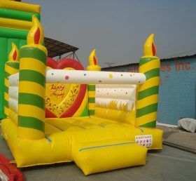 T2-2993 inflatable bouncer