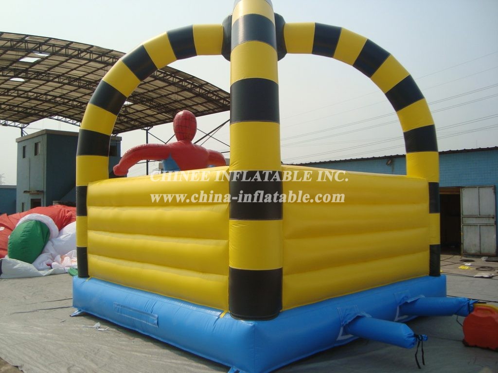 T11-894 Inflatable Sports