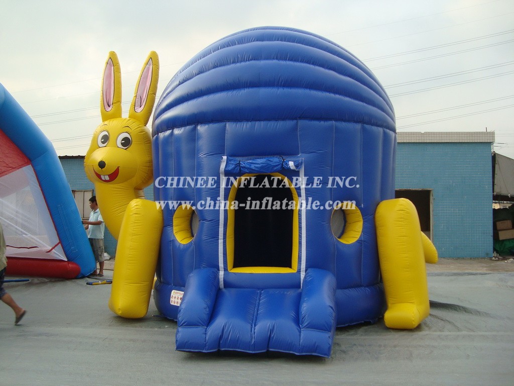 T2-2462 Inflatable Bouncers