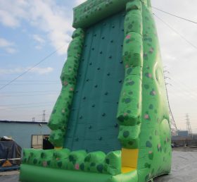T11-239 Inflatable Sports