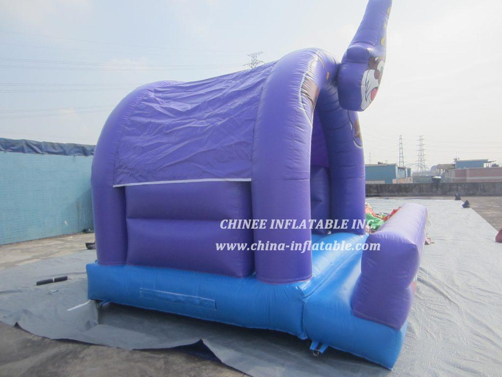 T2-1743 Wizard Inflatable Bouncer