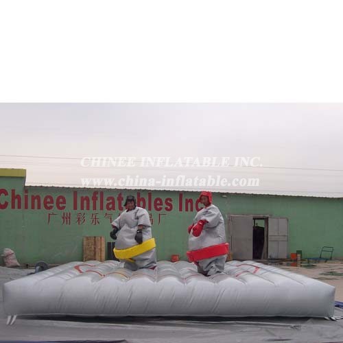 T11-1148 Inflatable Sports
