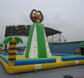 T11-272 Inflatable Sports