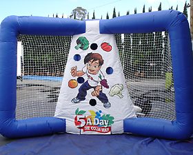 T11-316 Inflatable Sports