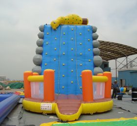 T11-391 Inflatable Sports