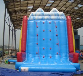 T11-458 Inflatable Sports