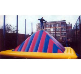 T11-716 Inflatable Sports