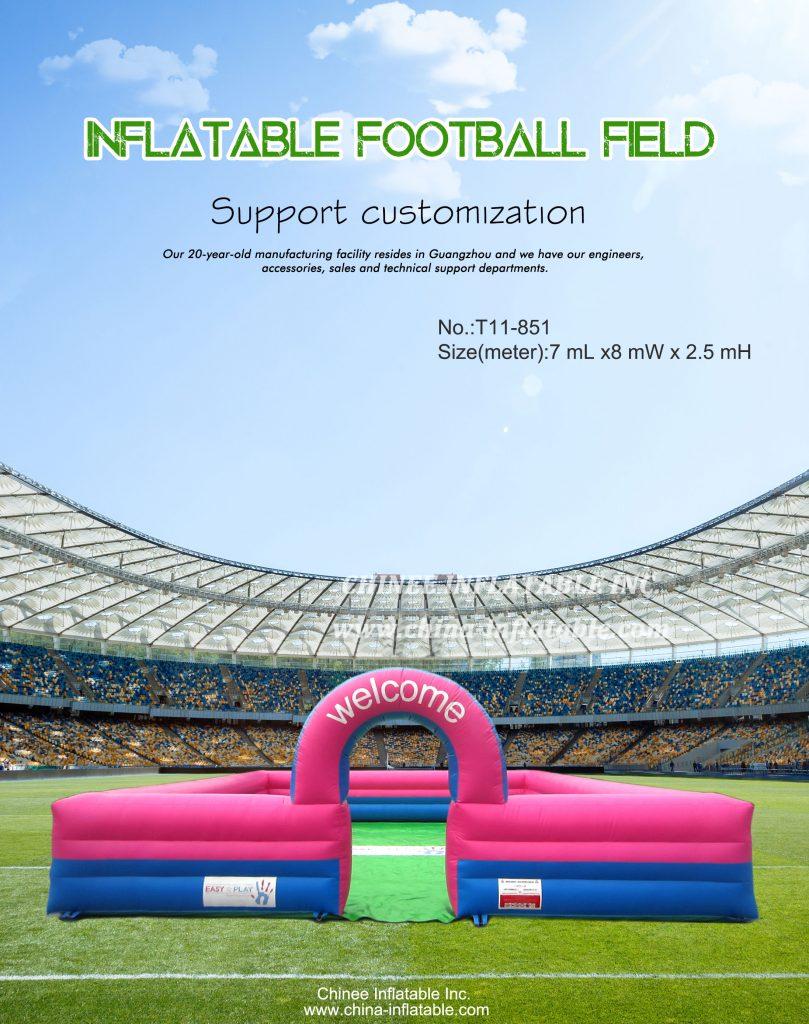 T11-851 - Chinee Inflatable Inc.