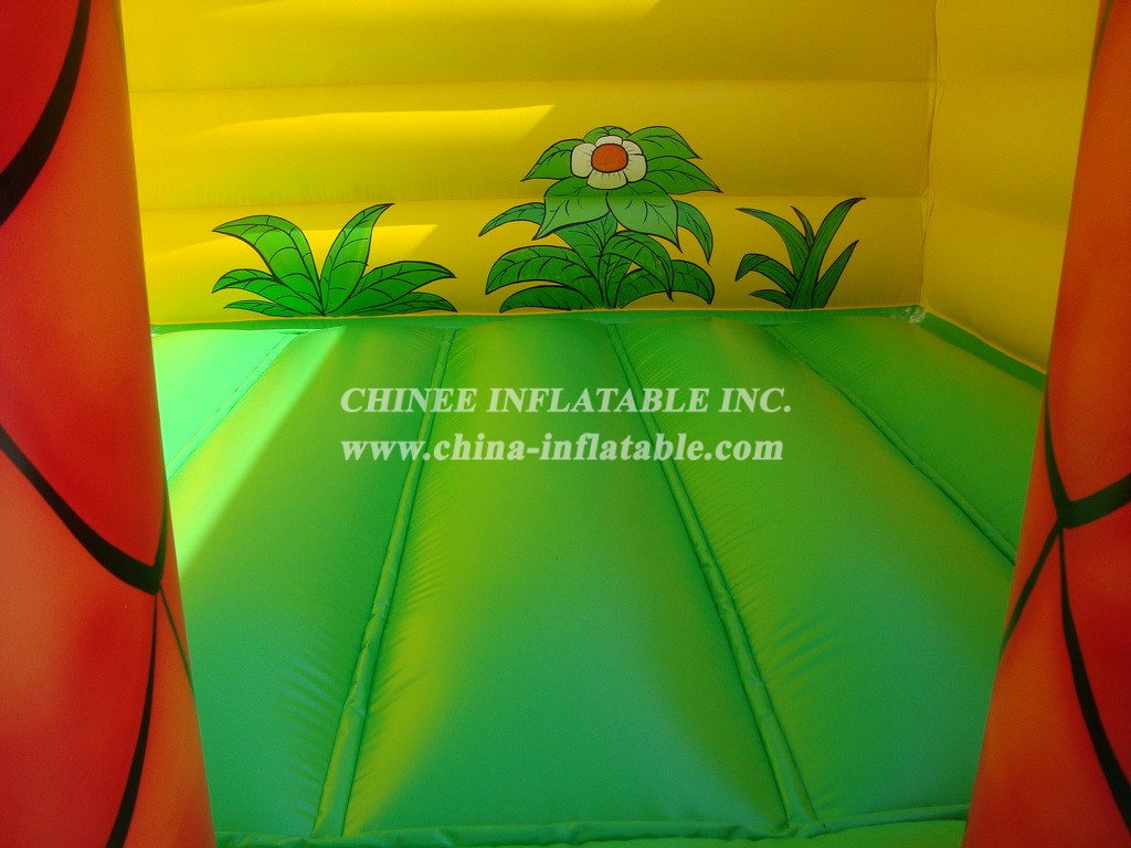 T2-1919 Inflatable Bouncers