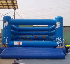 T2-353 inflatable Sea World