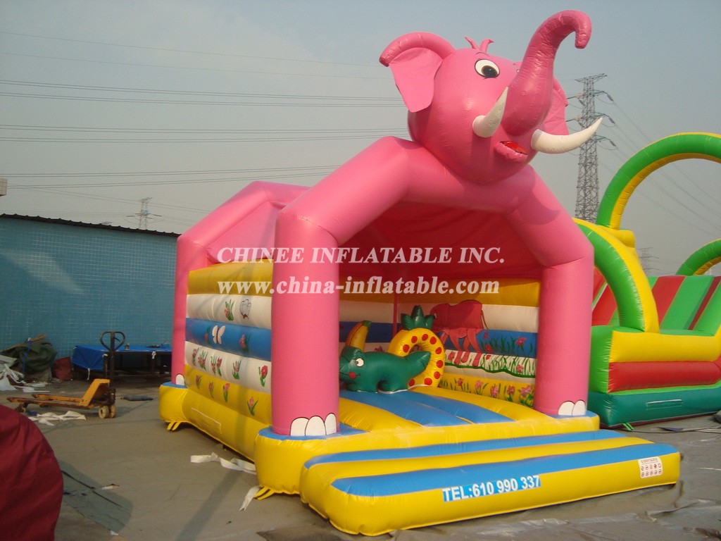 T2-2532 inflatable bouncer