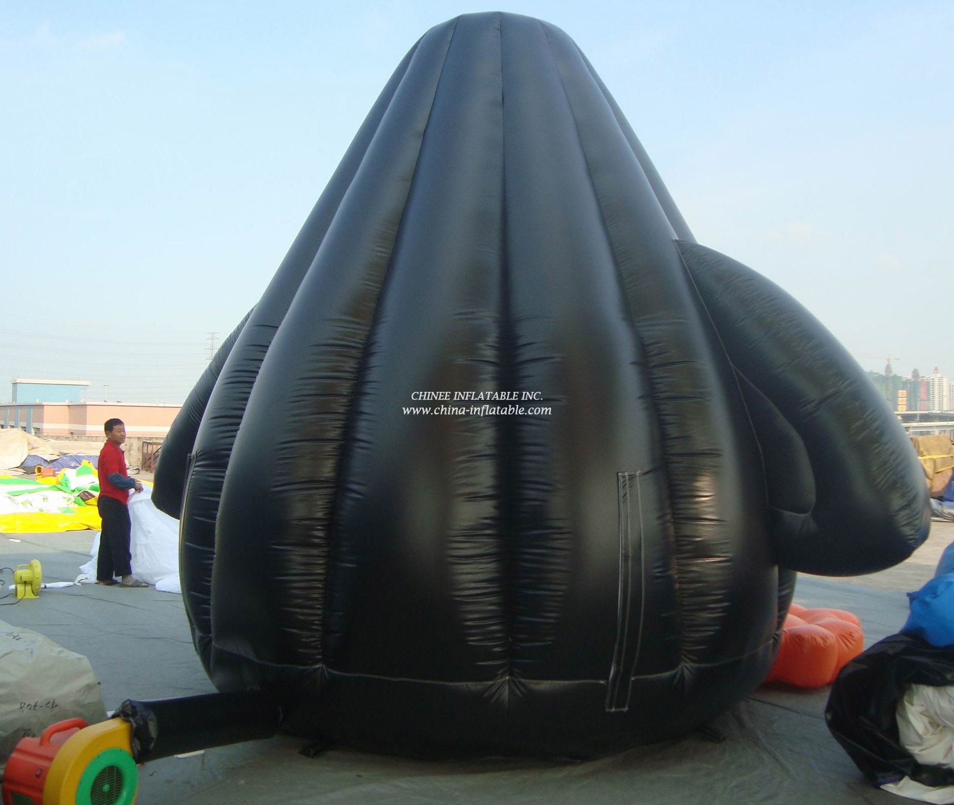 T2-450 dolphin inflatable bouncer