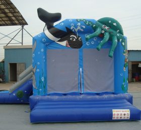 T2-594 inflatable bouncer