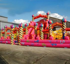 T6-316  giant inflatable