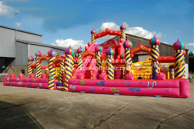 T6-316  giant inflatable