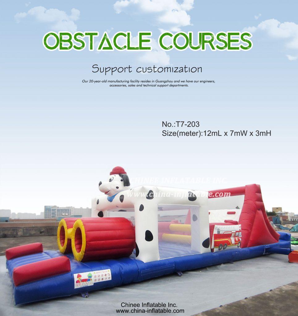 T7-203 - Chinee Inflatable Inc.