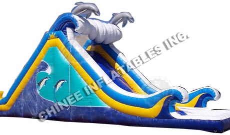 T8-318 Dolphin Inflatable Slide