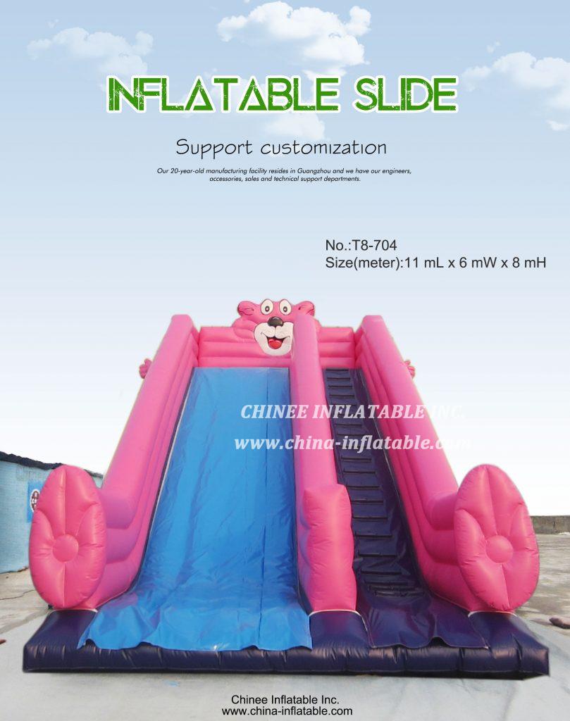 T8-704 - Chinee Inflatable Inc.
