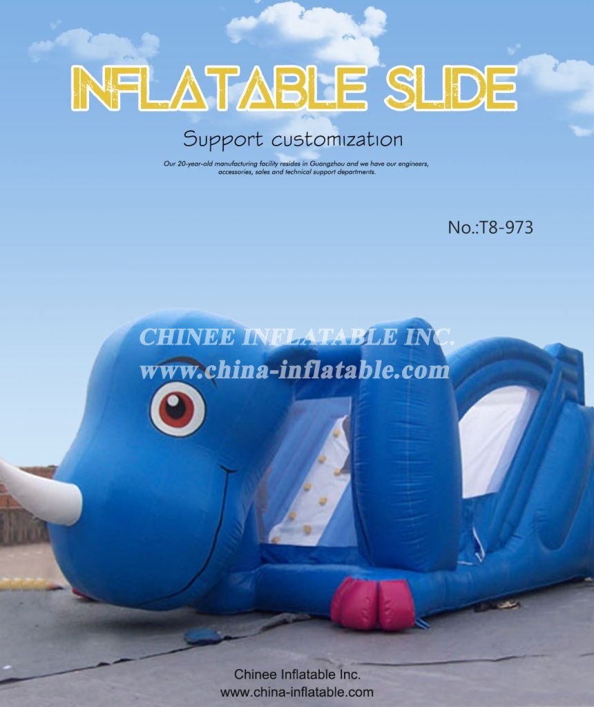 T8-973 - Chinee Inflatable Inc.
