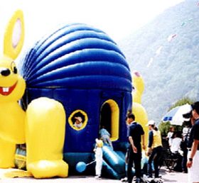 T2-186 inflatable bouncer