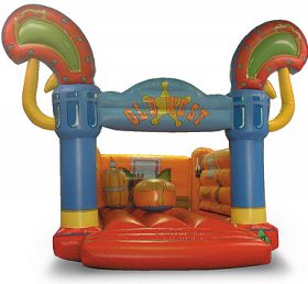 T2-189 inflatable bouncer