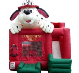 T2-201 inflatable bouncer