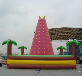 T11-1116 Inflatable Sports