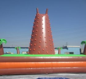 T11-127 Inflatable Sports