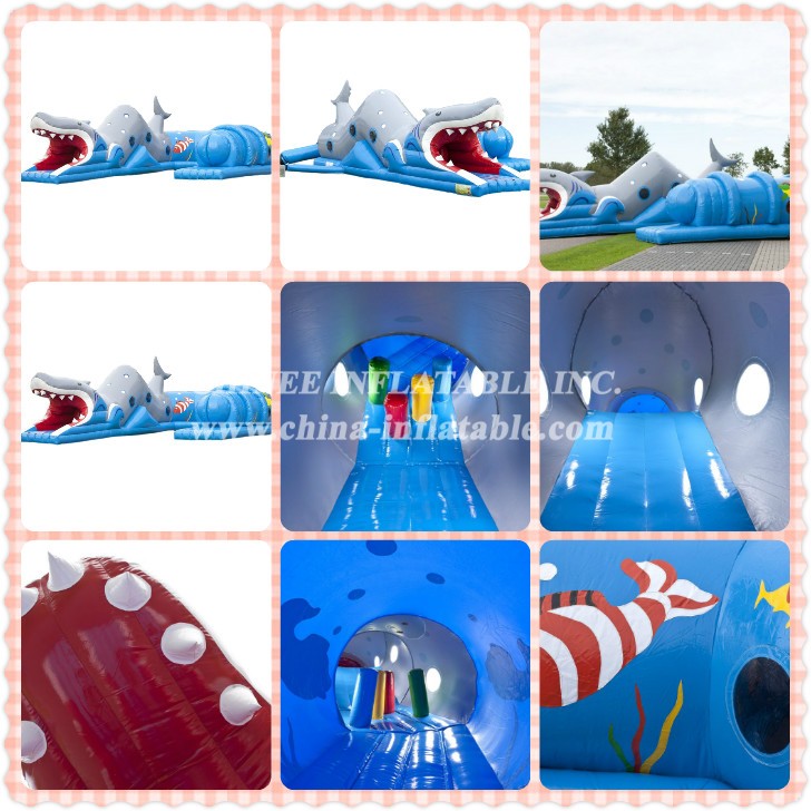 002 - Chinee Inflatable Inc.