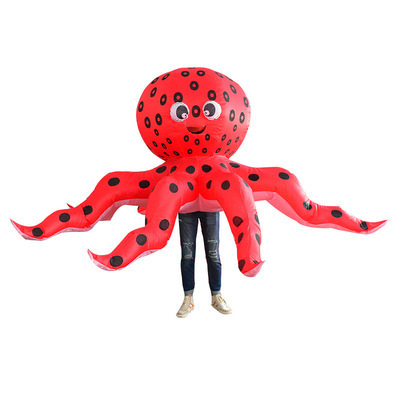 IC1-053 Inflatable Costume