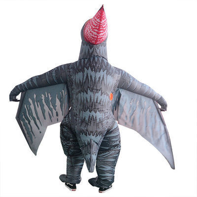 IC1-041 Dinosaur Costume