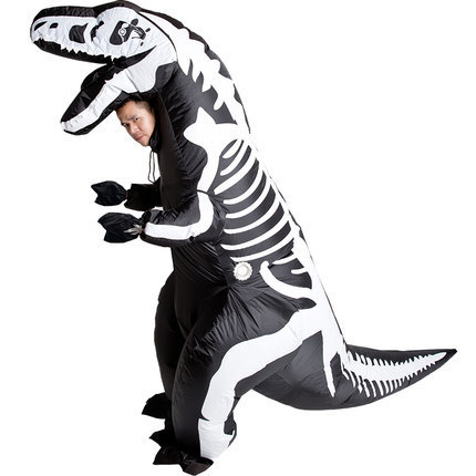 IC1-032 Dinosaur Costume