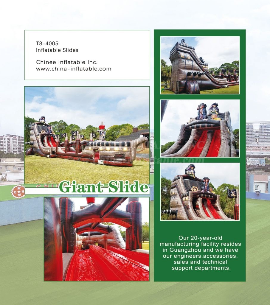 大型充气滑梯-瑞娜 - Chinee Inflatable Inc.
