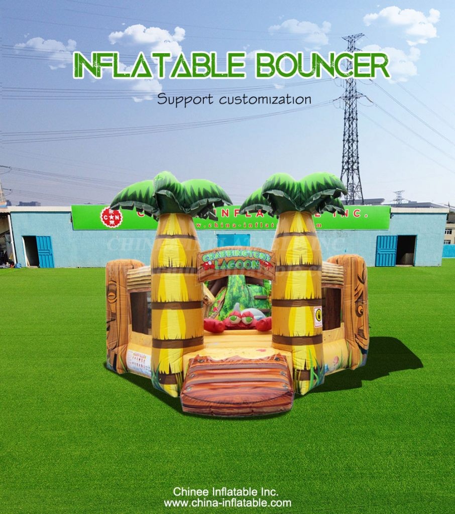 T2-4109-1 - Chinee Inflatable Inc.