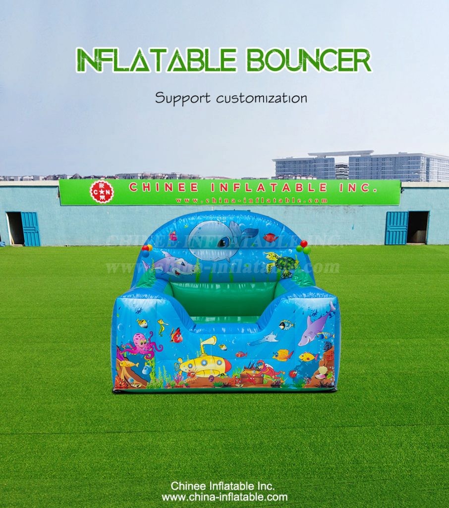 T2-4145-1 - Chinee Inflatable Inc.