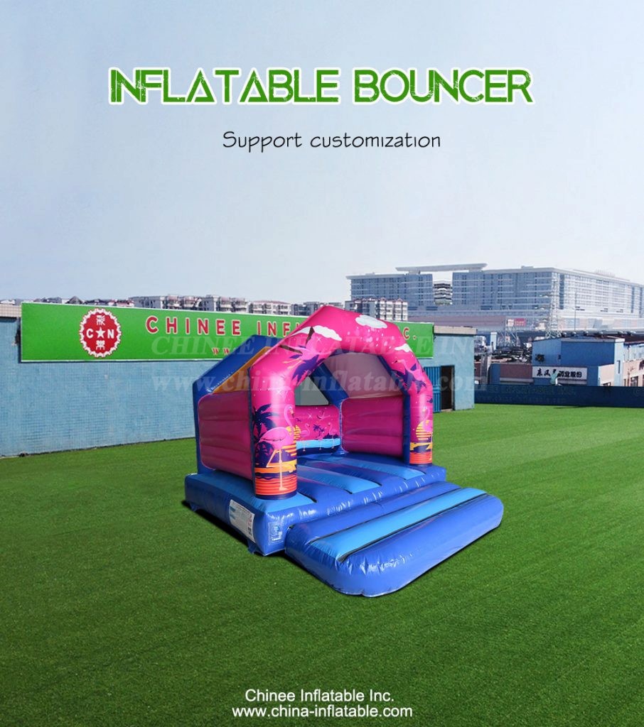 T2-4157-1 - Chinee Inflatable Inc.