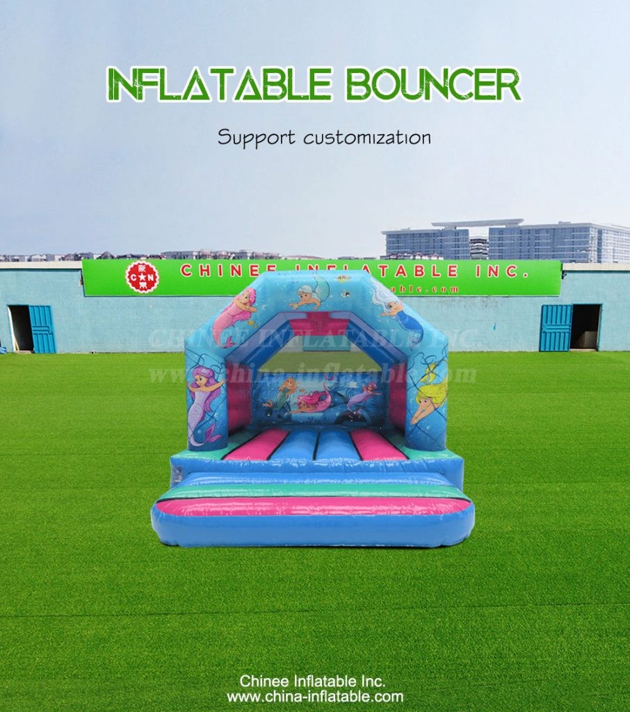 T2-4162-1 - Chinee Inflatable Inc.
