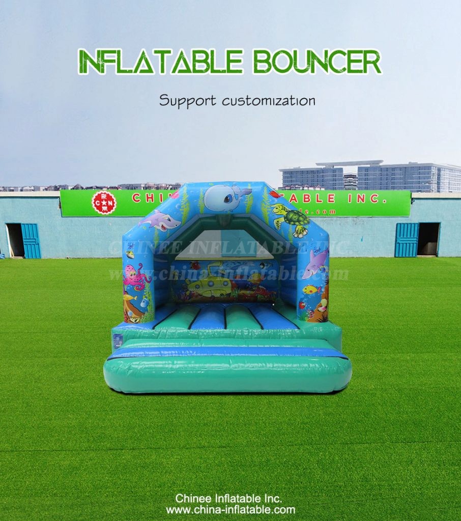T2-4163-1 - Chinee Inflatable Inc.