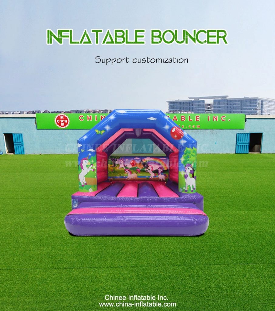 T2-4180-1 - Chinee Inflatable Inc.