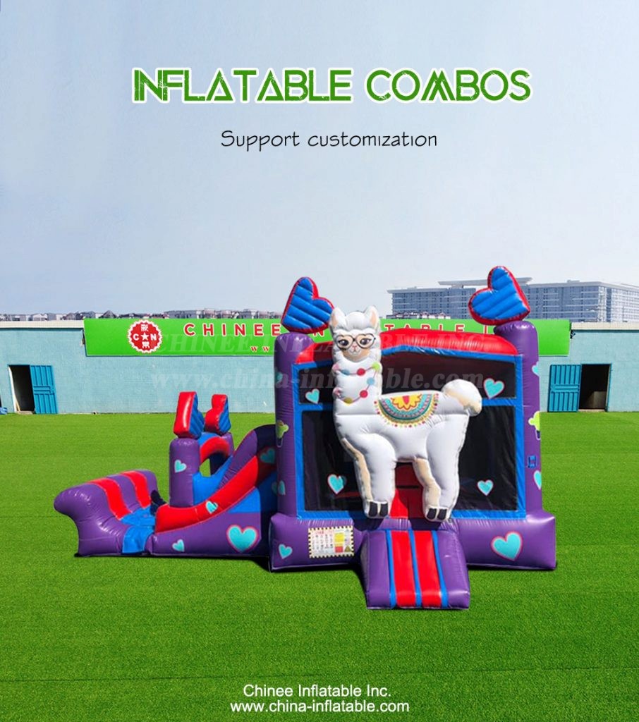 T2-4191-1 - Chinee Inflatable Inc.