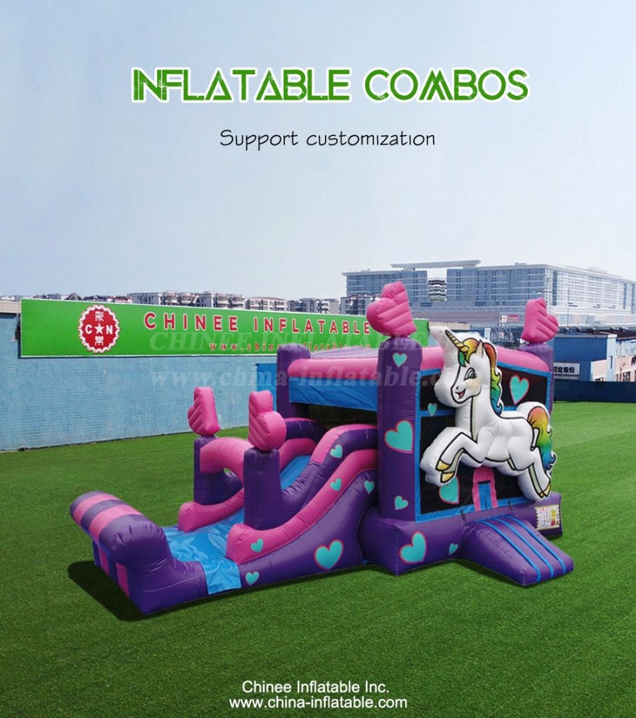 T2-4193-1 - Chinee Inflatable Inc.