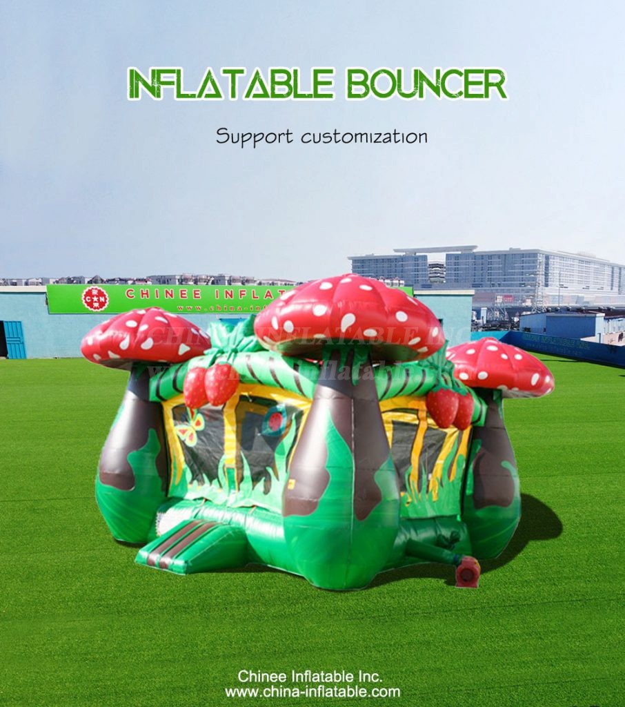 T2-4222-1 - Chinee Inflatable Inc.