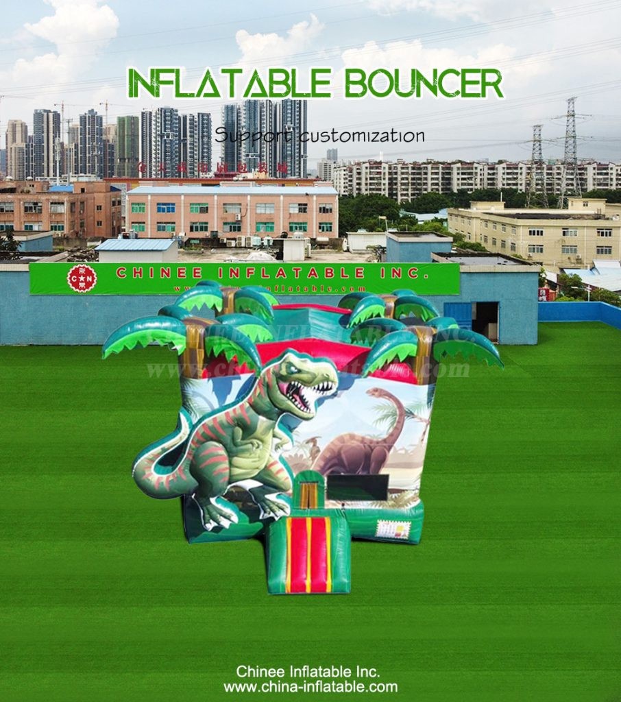 T2-4224-1 - Chinee Inflatable Inc.