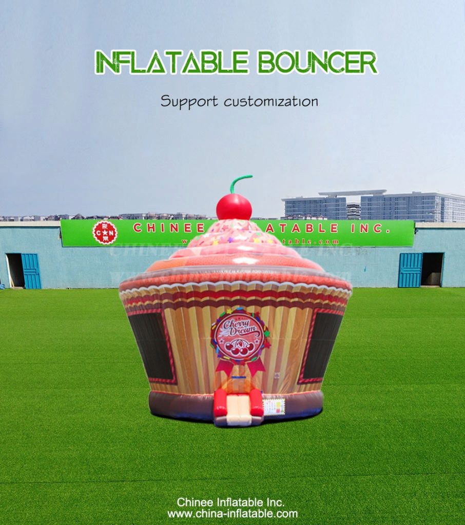 T2-4239-1 - Chinee Inflatable Inc.