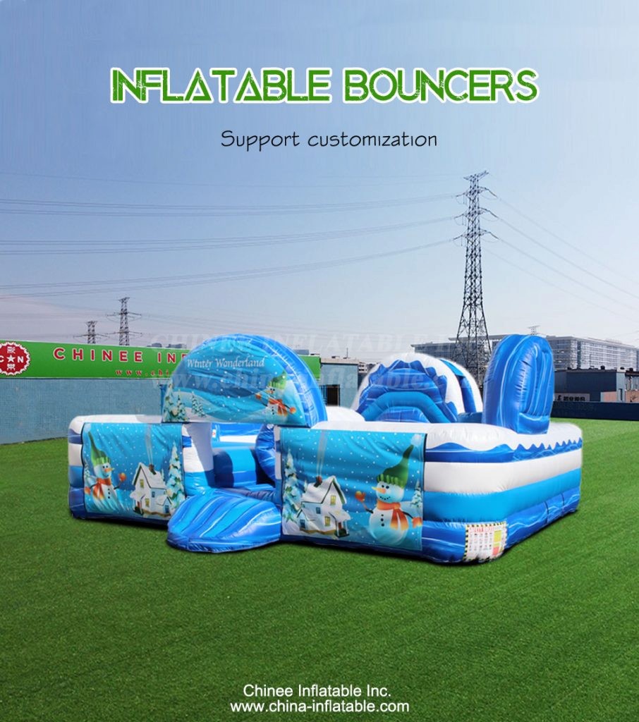 T2-4242-1 - Chinee Inflatable Inc.